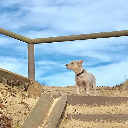 Strandhaus Appartement Goehren (Ruegen)