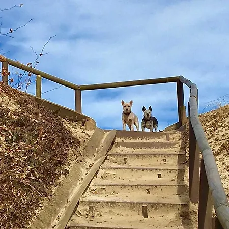 Strandhaus Appartement *